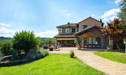 Olive Branch Offering 0