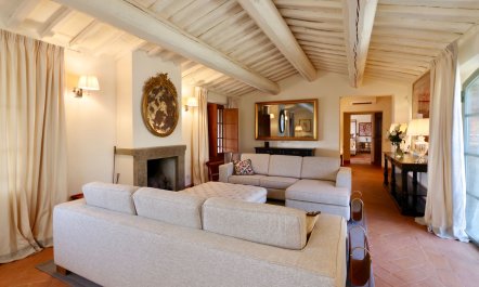 Botticelli's Primavera 1