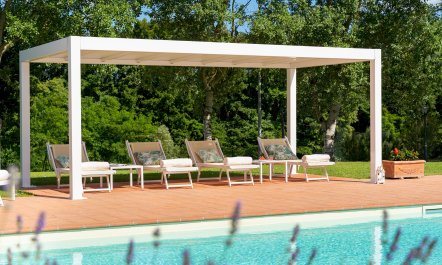 A Little Horse Play 2