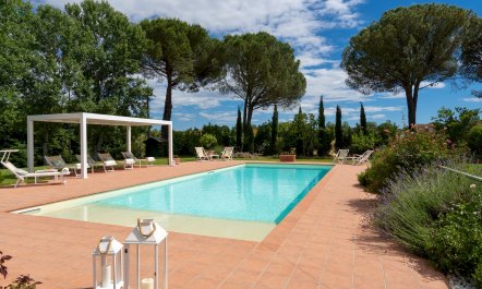 A Little Horse Play 0