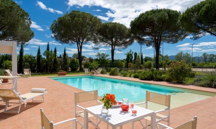 A Little Horse Play 1