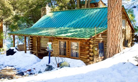 Scout Cabin