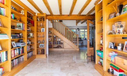 Antlers In The Forest 1