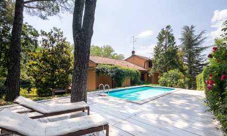 Negroni Gardens 1
