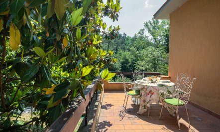 Negroni Gardens 6