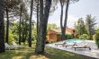 Negroni Gardens 2