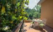 Negroni Gardens 6