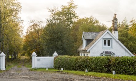 Woodland Cottage