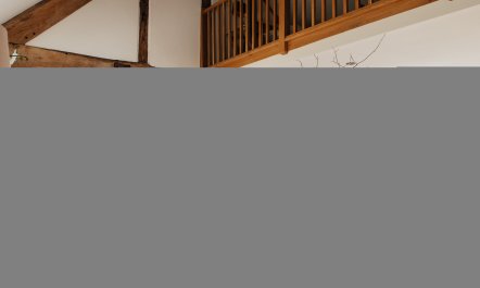 Long-Eared Owl 0