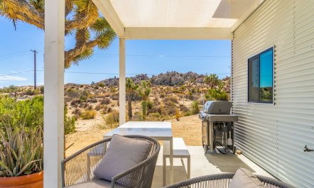 Desert Willow 5