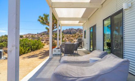 Desert Willow 4