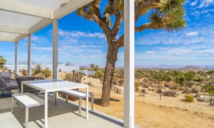 Desert Willow 8