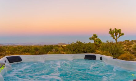 Desert Willow 6