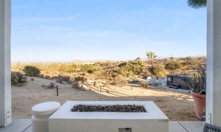 Desert Willow 7