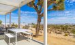 Desert Willow 8