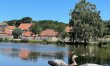The Shelduck 2
