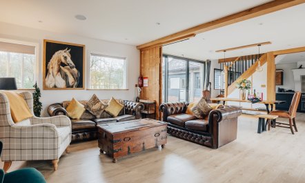 The Equestrian 9