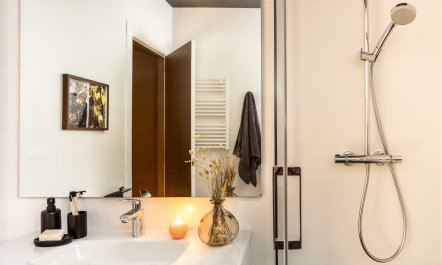 Arbequina 9