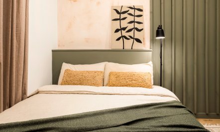 Arbequina 8