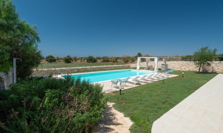 When Life Gives You Lemons 5