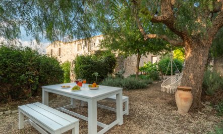 When Life Gives You Lemons 8