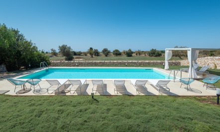 When Life Gives You Lemons 3