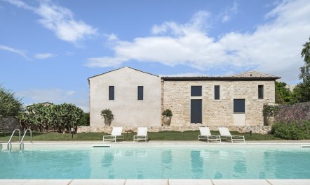 When Life Gives You Lemons