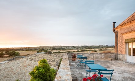 When Life Gives You Lemons 6