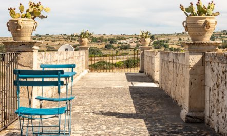 When Life Gives You Lemons 7