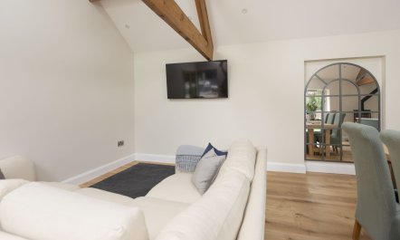 Longhorn 3