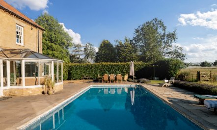 Peacocks & Petticoats 3