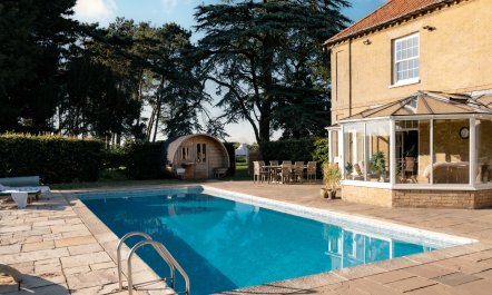 Peacocks & Petticoats 4