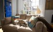 2 Bed in Robin Hood's Bay 3