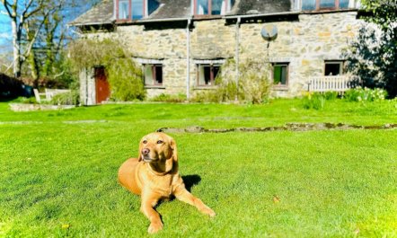 3 Bed in High Wray 1