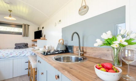 1 Bed in Narberth 4