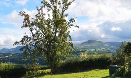 2 Bed in Brecon 2