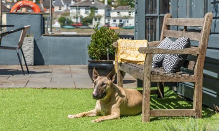 3 Bed in Bideford 7