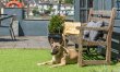 3 Bed in Bideford 7