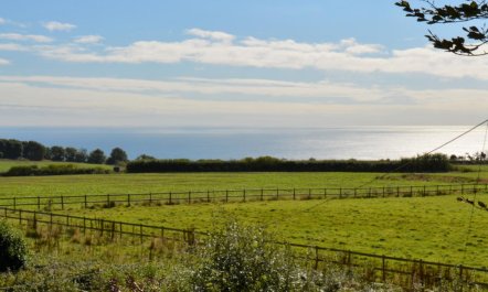 3 Bed in Lyme Regis 7