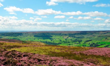 1 Bed in Kirkbymoorside 1