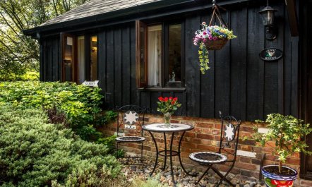 1 Bed in North Gorley 4