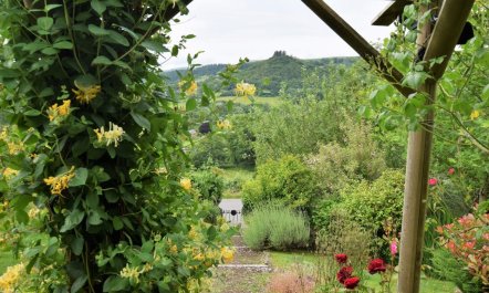 3 Bed in Llandovery 3