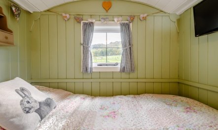 1 Bed in Hereford 3