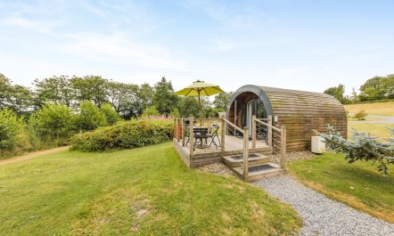 1 Bed in Lampeter