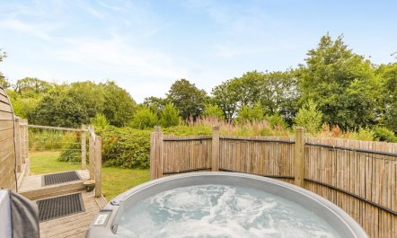 1 Bed in Lampeter 1