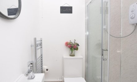 1 Bed in Saundersfoot 5