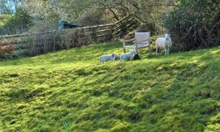 2 Bed in Crickhowell 2