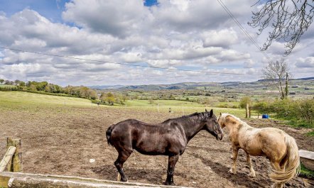 2 Bed in Llanybydder 3