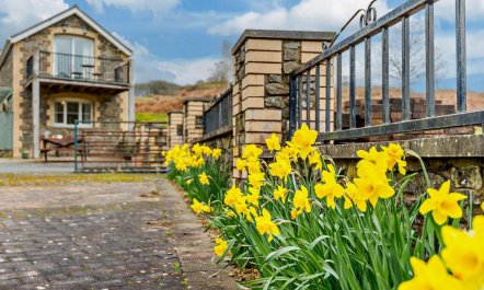 3 Bed in Builth Wells