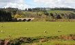 2 Bed in Duns 9
